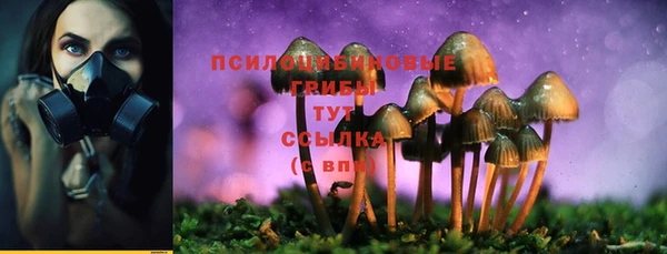 дмт Алексин