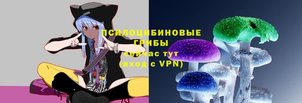 дмт Алексин