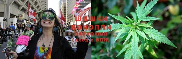 дмт Алексин